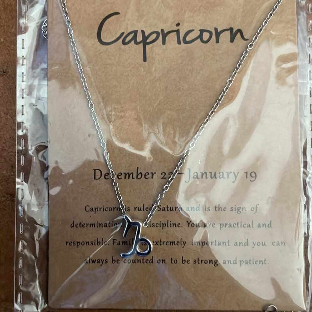 Capricorn Necklace
